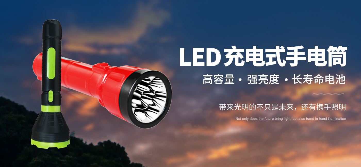 安陽(yáng)市猴王電器有限責任公司